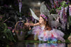 Enchanted Fairy / Elf Photo Shoot